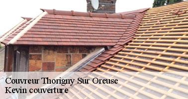 Le démoussage de la toiture à Thorigny Sur Oreuse dans le 89260