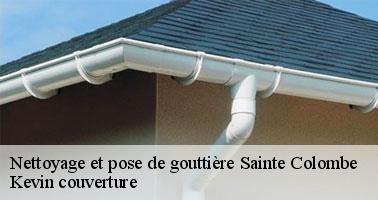 Qui se charge des travaux de mise en place des gouttières à Sainte Colombe dans le 89440?