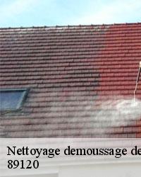 Pourquoi confier à des professionnels les travaux de nettoyage des toits à Fontenouilles dans le 89120?